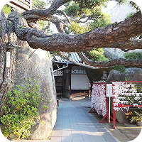 大木の生える神社