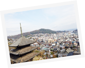 お寺の写真